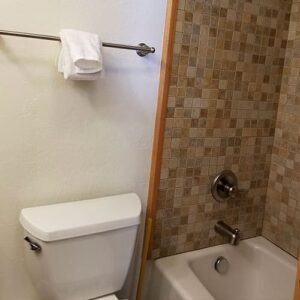 Condo A08 - First Floor Bathroom Tub And Toilet | Alpenglow Vacation Rentals Ouray