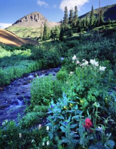 Magnificent landscape of Ouray mountains during spring | Alpenglow Vacation Rentals