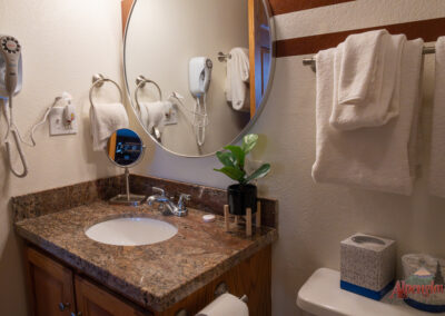 A bathroom in your cozy vacation rental features a granite countertop, a round mirror, a small plant, a hairdryer on the wall, towels on a rack, and a tissue box on top of the toilet tank.