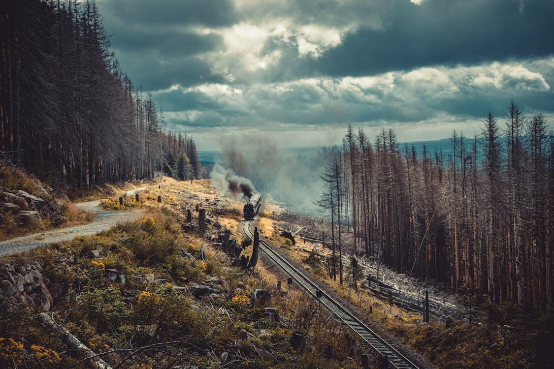 A steam train emits smoke as it travels on a railway through a forested landscape under a cloudy sky, with leafless trees and a dirt path visible beside the tracks.