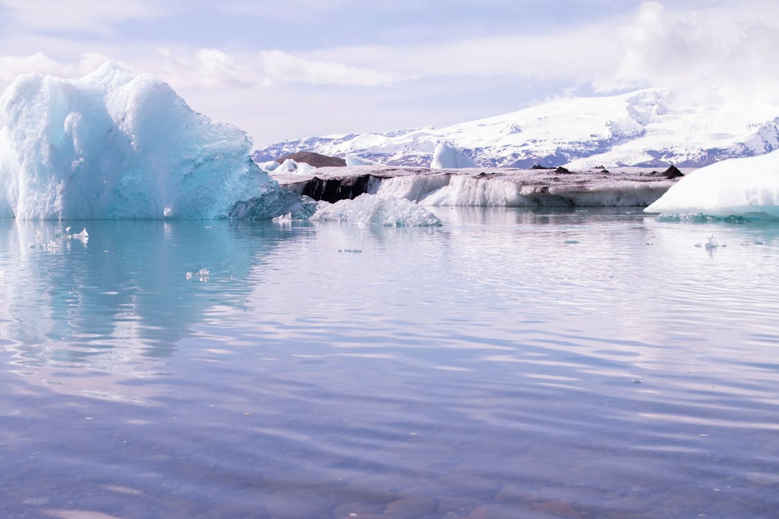 Large icebergs floating on a calm body of water with snow-covered mountains in the background under a partly cloudy sky.