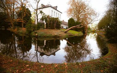 Best Ways To Enjoy Fall Colors From Your Ouray Stay